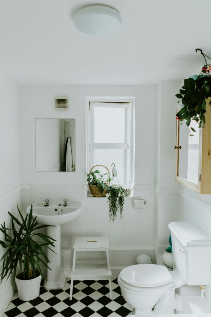 Baño luminoso con lavabo de pedestal y plantas